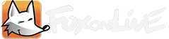 Call Center FOX ONLINE, Télémarketing B2B